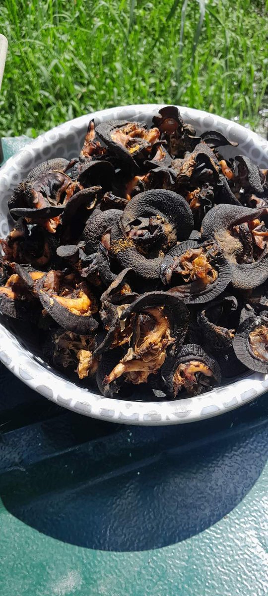thesnailvendor's tweet image. I'm available to take all dry fish and snail orders. Just dm to order today. Delivery nationwide.
#VeryAffordable
#Snaillovers
#Dryfish
#Nationwidedelivery