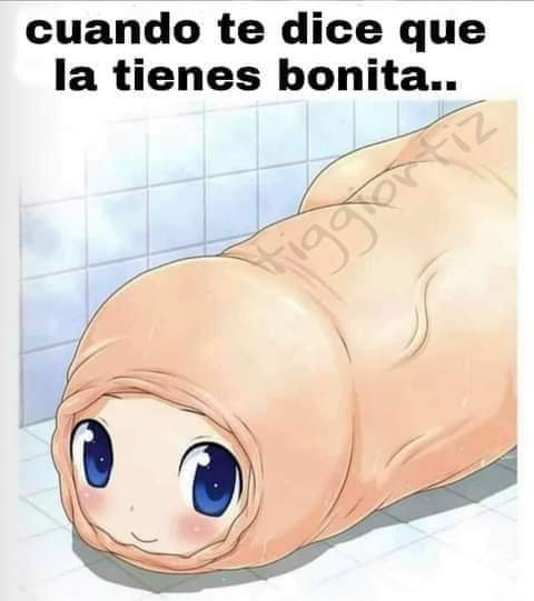 Buenos dias so&ntilde;e algo muy curioso 🤭 https://t.co/kNQQyYokGF<a href="/tag/sexy"class="tags"><span>#sexy</span></a><a href="/tag/hot"class="tags"><span>#hot</span></a><a href="/tag/memes"class="tags"><span>#memes</span></a><a href="/tag/papaya"class="tags"><span>#papaya</span></a>