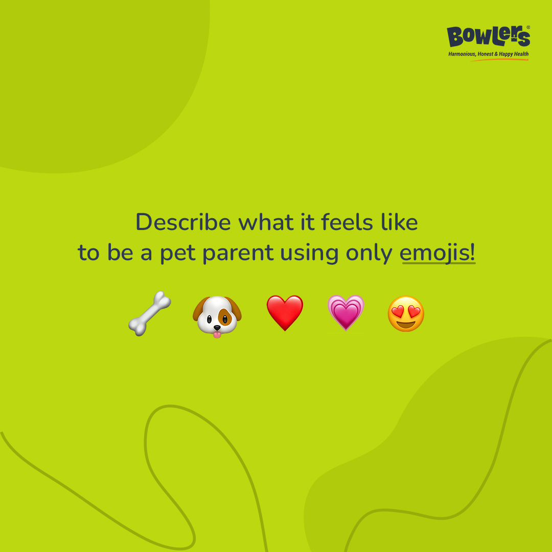 bowlerspet's tweet photo. We’ll go first! 🐾❤️🥹🐶

#Bowlers #BowlersPets #PetLove #FurBabyTime #QualityTimeWithPets #HealthyLiving #PetWellness #HappyPets #PetBonding #PetTherapy #LoveYourPet #CuddleTime #PetPlaytime #PetHappiness #FurryFriends #PetCompanionship https://t.co/2HgyLoIEC3