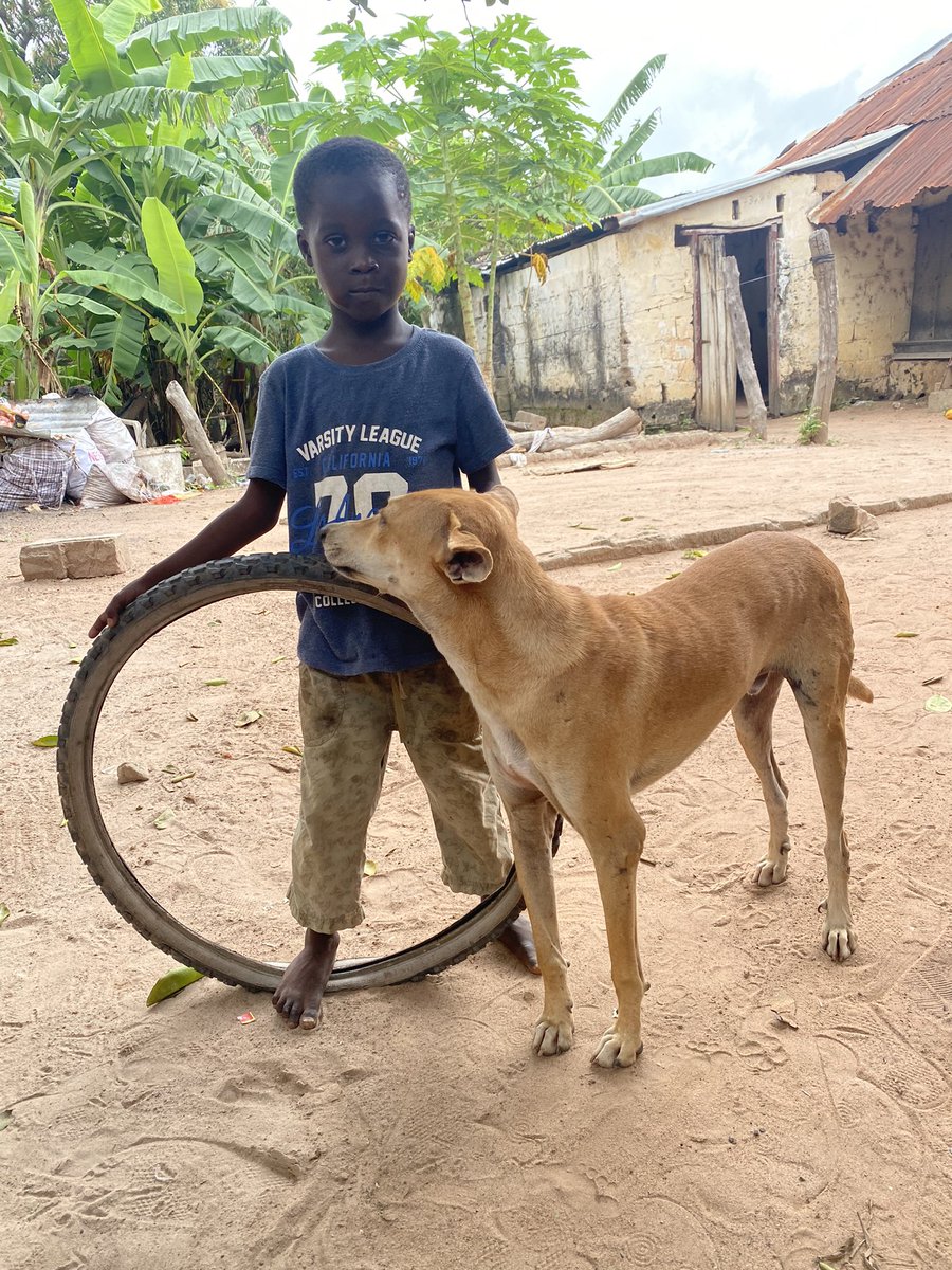 adama32316814's tweet image. 🇬🇲❤️🙏🏿