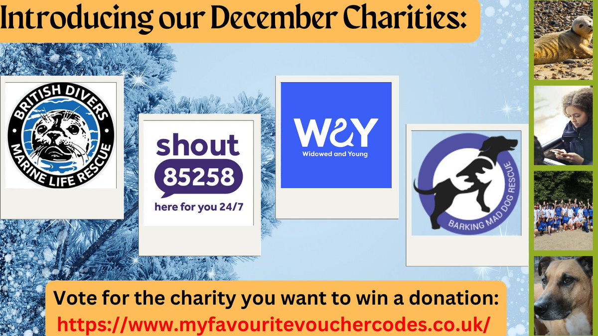 MF Voucher Codes tweet media