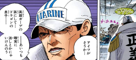 ドラゴンと赤犬が同い年ってことを考えると、海兵時代に面識があっても