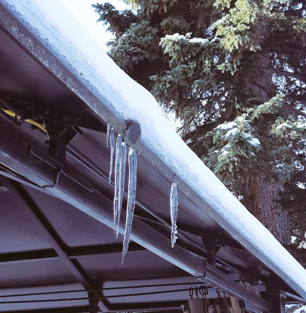PreetiRel's tweet image. Fragile art
Winter's frozen tears
Crystal spears

#WalesHaikuJournal #icicles