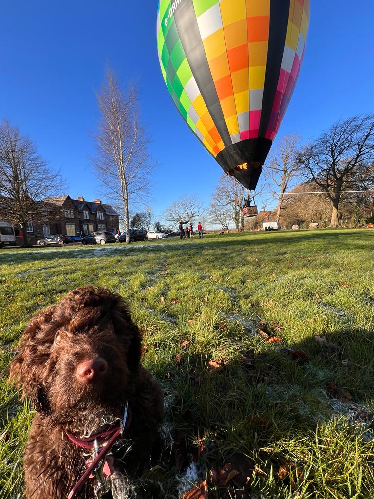 Hook_Ballooning's tweet photo. Up at @Gallowaysblind this morning to help with #gallowaysgetmeoutofhere https://t.co/2L8YhVIEzu