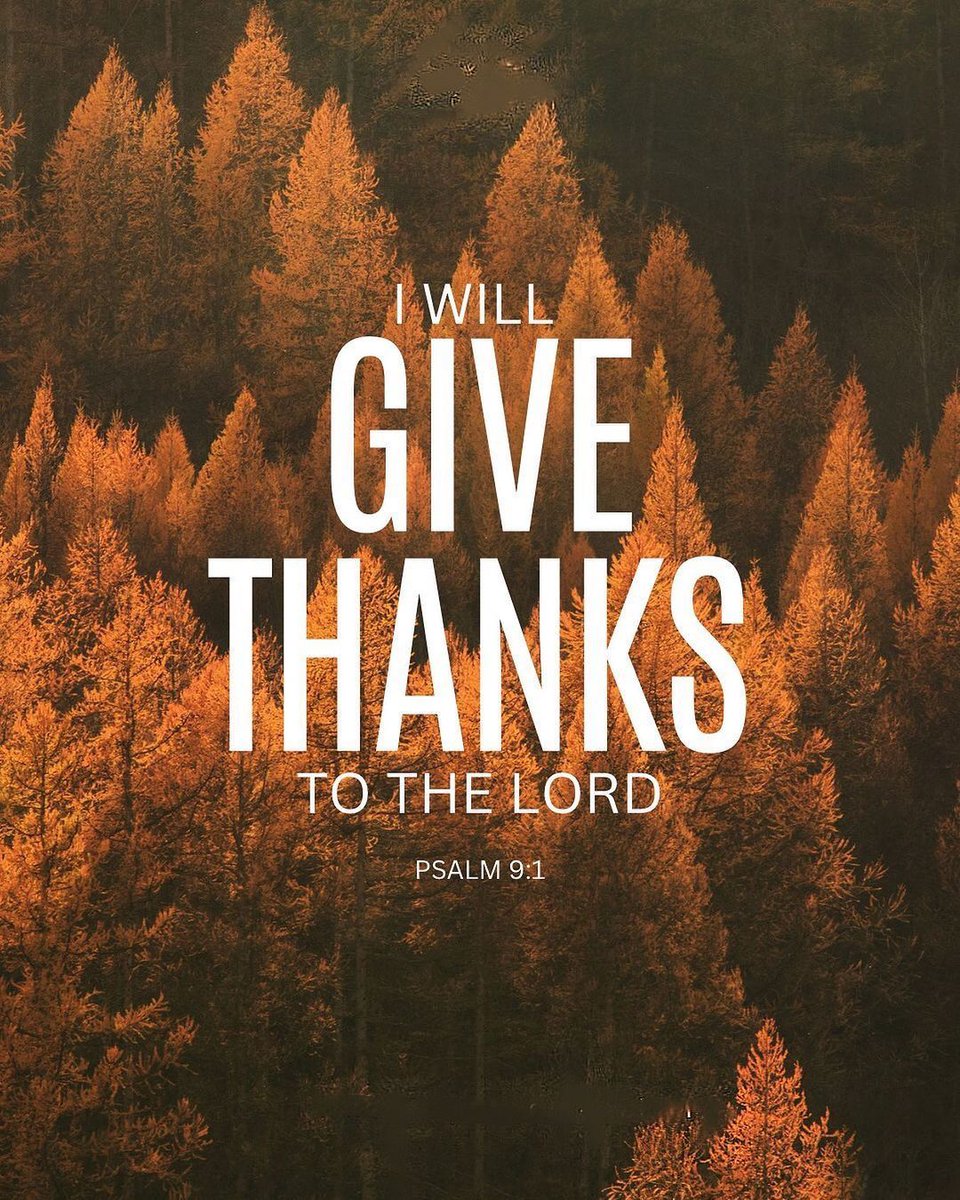 NHCBrea's tweet photo. @nhcbrea
I WILL GIVE THANKS TO THE LORD.
PSALM 9:1  

#northhillschurch #brea #nhcbrea #northhillsyouth #christmas #holiday #christmastime #christmasdecor #christmasactivities #christmasdinner https://t.co/tjrBfxQm0u