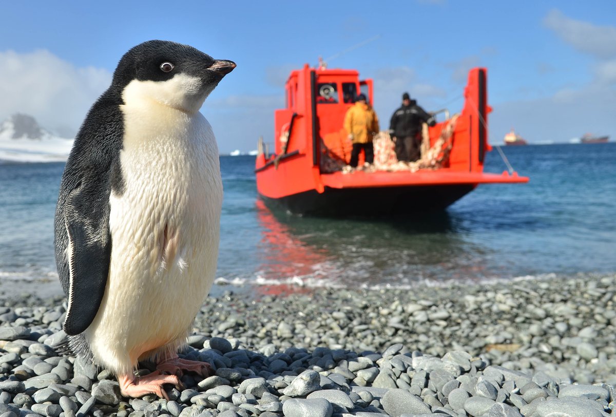 A 64 años de la entrada en vigor del Tratado Antártico.

El 1 de diciembre de 1959 firmamos junto a otros 11 países el Tratado que establece al continente blanco como una región de paz y cooperación entre las naciones que la habitan con fines de investigación científica.
