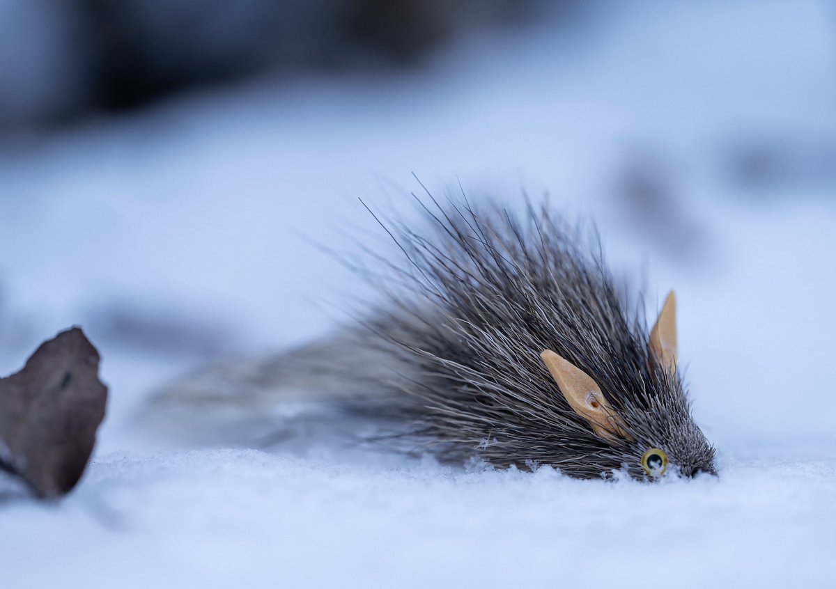 Mouse in the snow. Tied by Emmanuel Crosa.