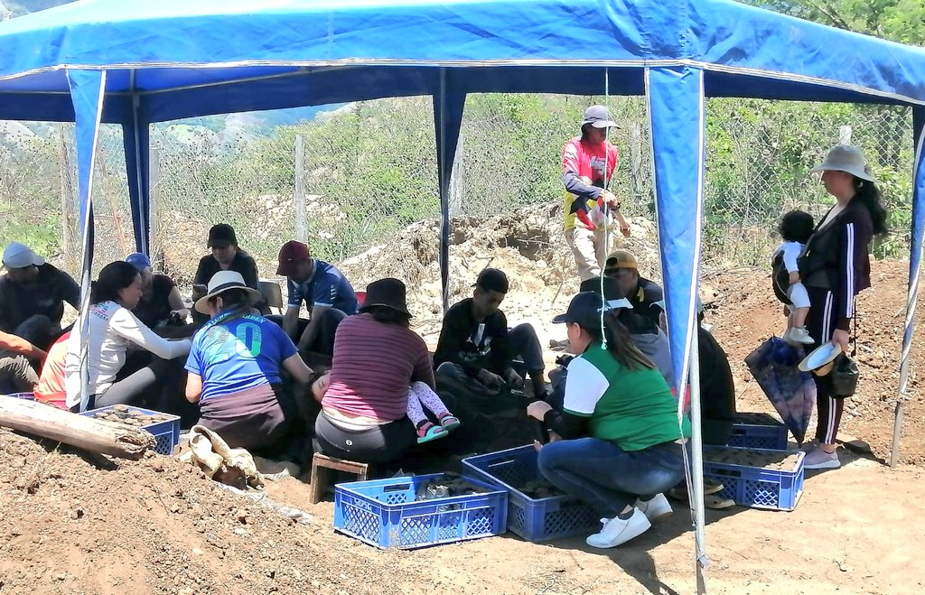 #Loja | En el cantón #Quilanga📍 desarrollamos taller sobre manejo de viveros y transplante de plántulas de café, en coordinación con el GAD Parroquial de Fundochamba.