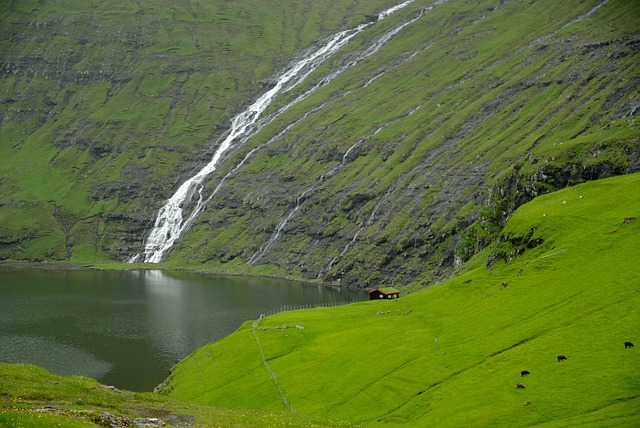 Exploring the Enchanting Faroe
 Islands: A Journey into Rugged Landscapes and Puffin Paradises

traveltodoit.blogspot.com/2023/11/explor…