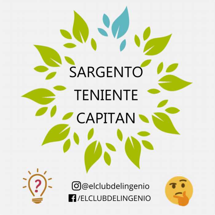 Un juego de inteligencia verbal para mejorar las habilidades mentales. La consigna es mezclar las letras de una de las palabras siguientes y encontrar una hierba aromática. Comprueba la solución en el siguiente link:
bit.ly/3Gm6sMk