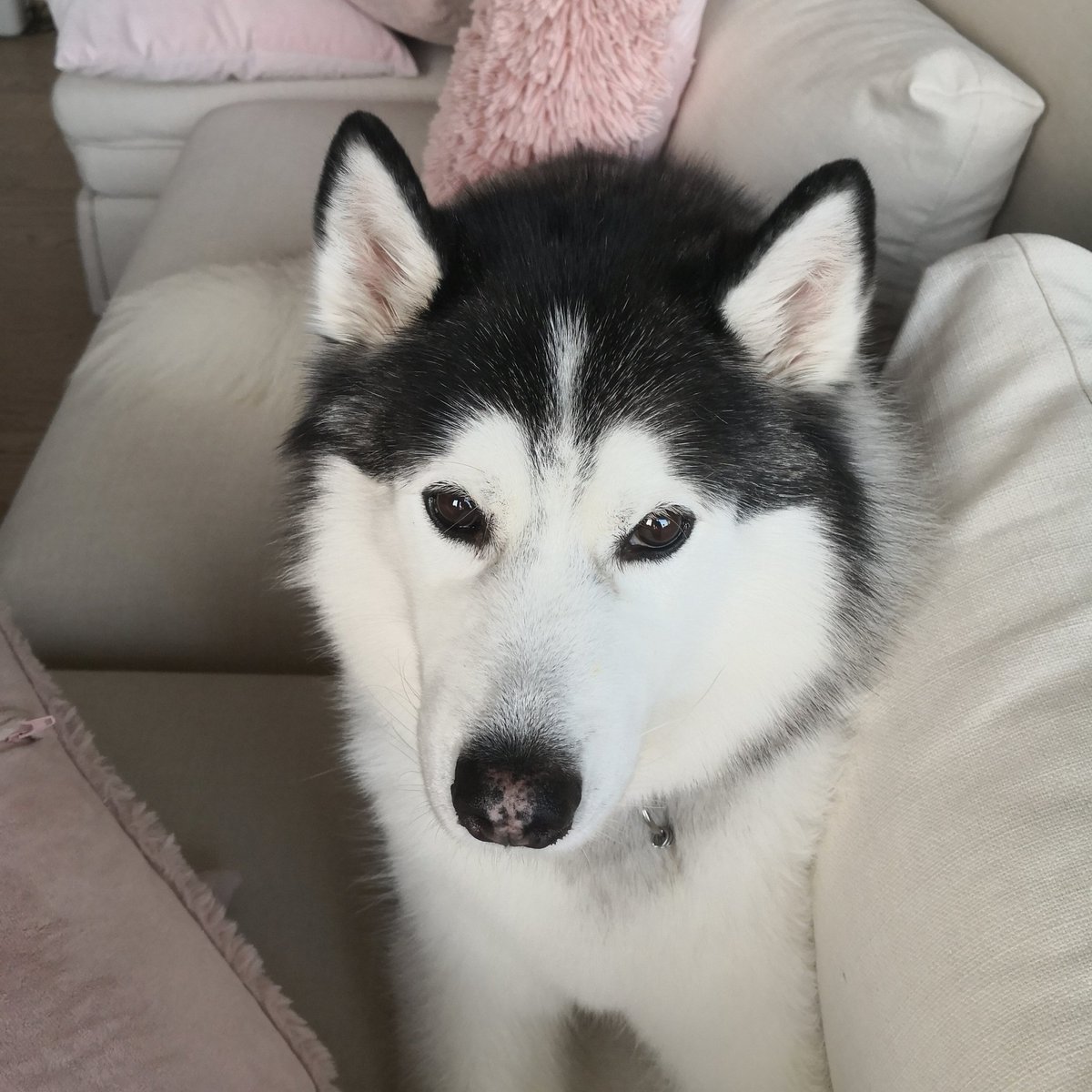 #NewProfilePic