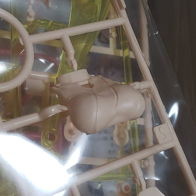 フミナパイセン買ったらアヤメ殿サンの全裸おっぱい入ってたが🤔

脱がせ…ってコト? 