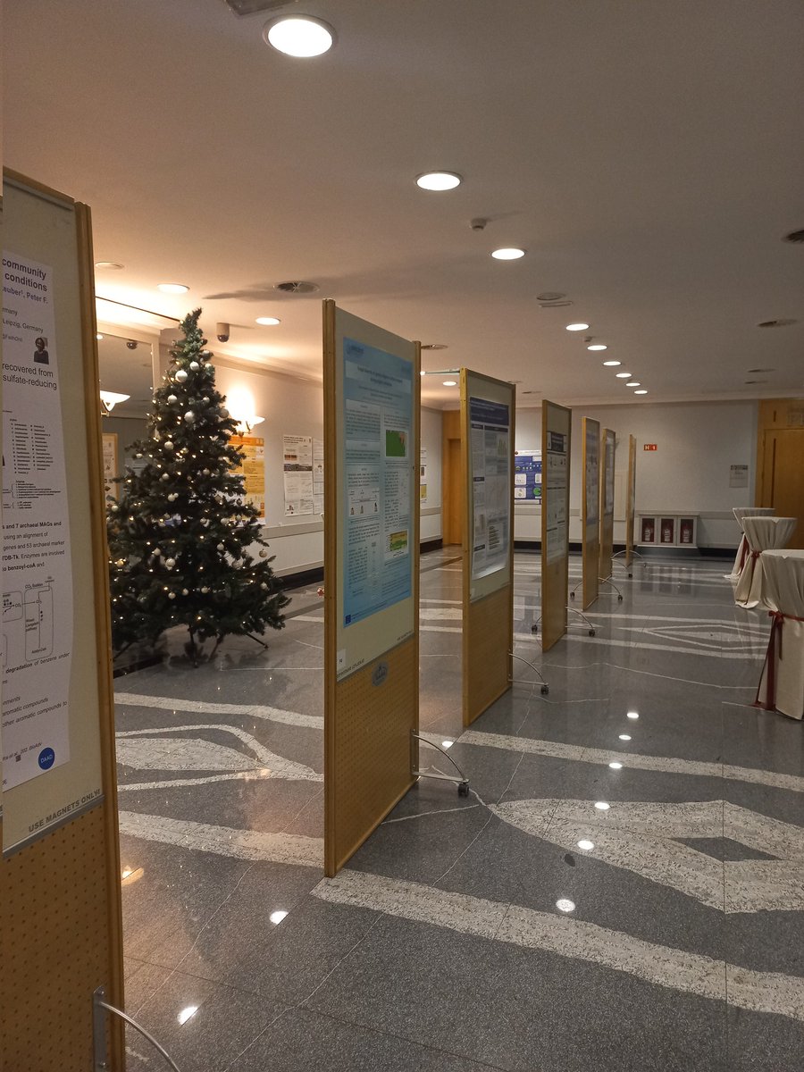 AlexandrosMosca's tweet photo. Glad to attend the Slovenian Microbiome Network Symposium!  #SMNS23 #plantmicrobiome #Maribor https://t.co/pwAETn7XjQ