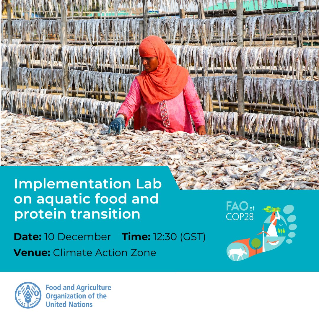 Join <a href="/FAOFish/">Fisheries & Aquaculture</a> at #COP28 for a discussion on the pivotal role of #aquaticfood as a climate solution, contributing to sustainably feeding the world while keeping carbon emissions low.

Don't miss out on the conversation! 👇 

#ClimateActionNow 
#BlueTransformation