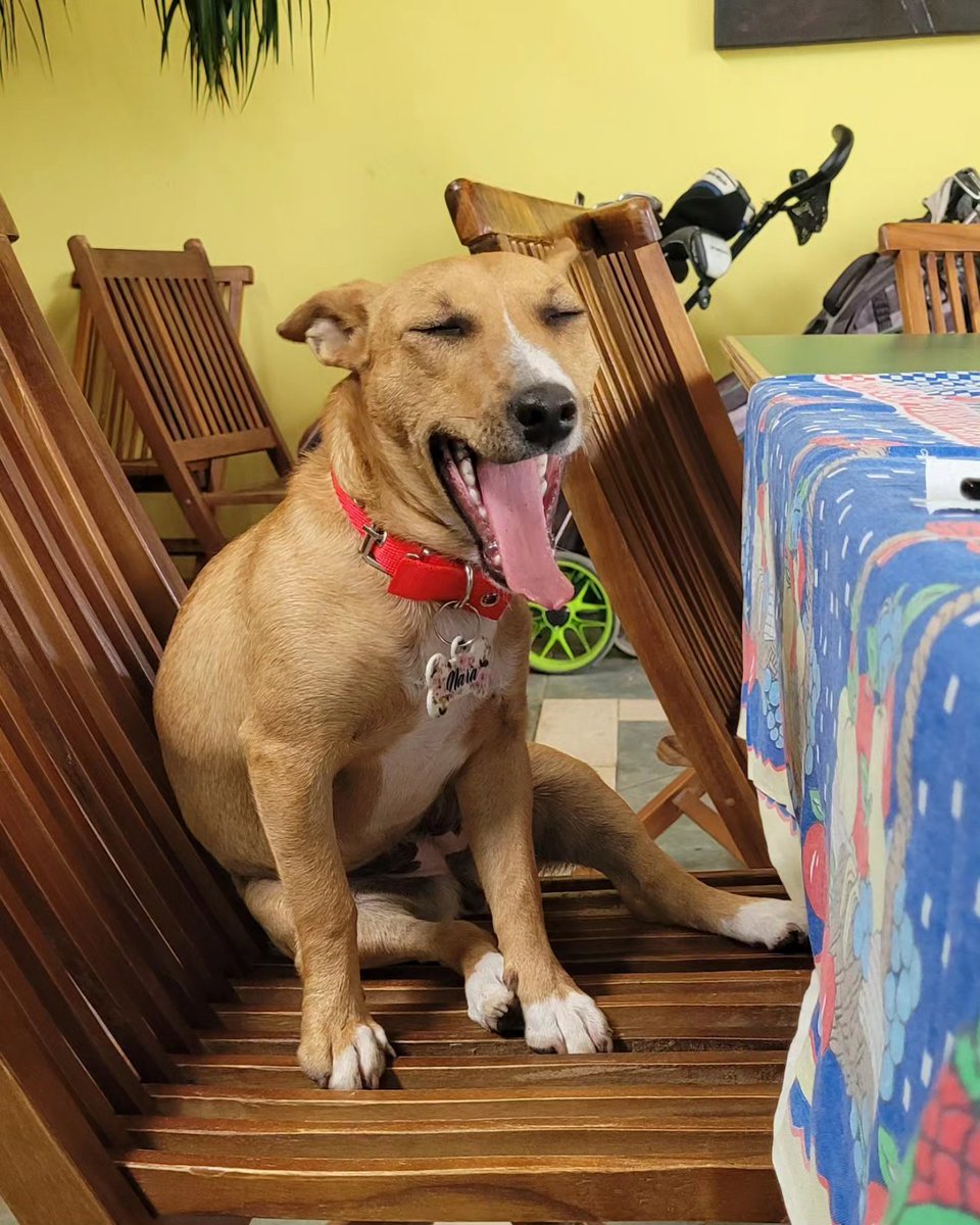 Cuando tu vecino nuevo llega al barrio y se presenta con una nota que te dejo en el buzón.  Tengo que contestar y necesito opiniones . Gracias !!!!