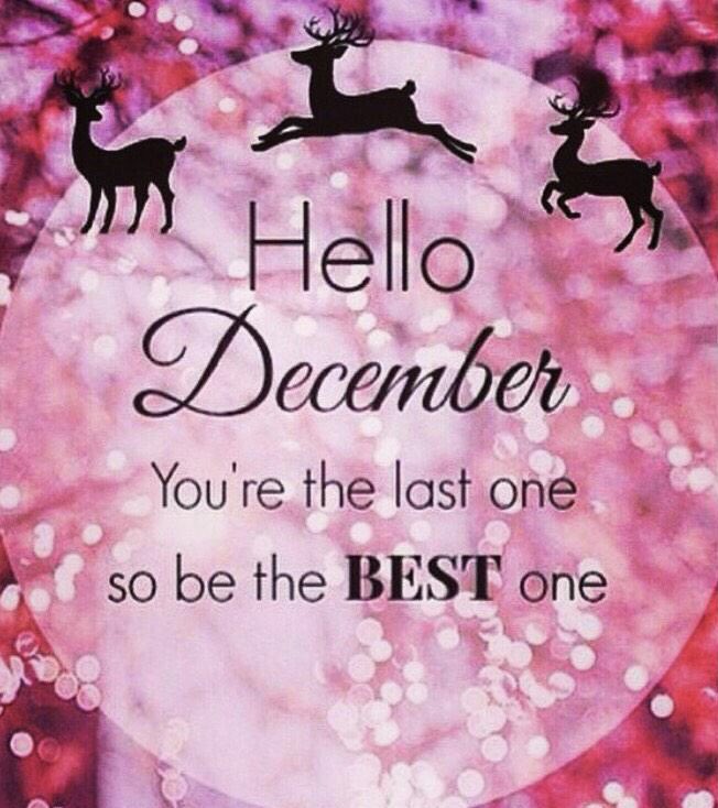 Hello December 🎄 the most wonderful time to the year! 🔔 #christmas #hellodecember #december #1stdecember #christmastree #christmastime #christmaslights #festive #merrychristmas #themostwonderfultimeoftheyear