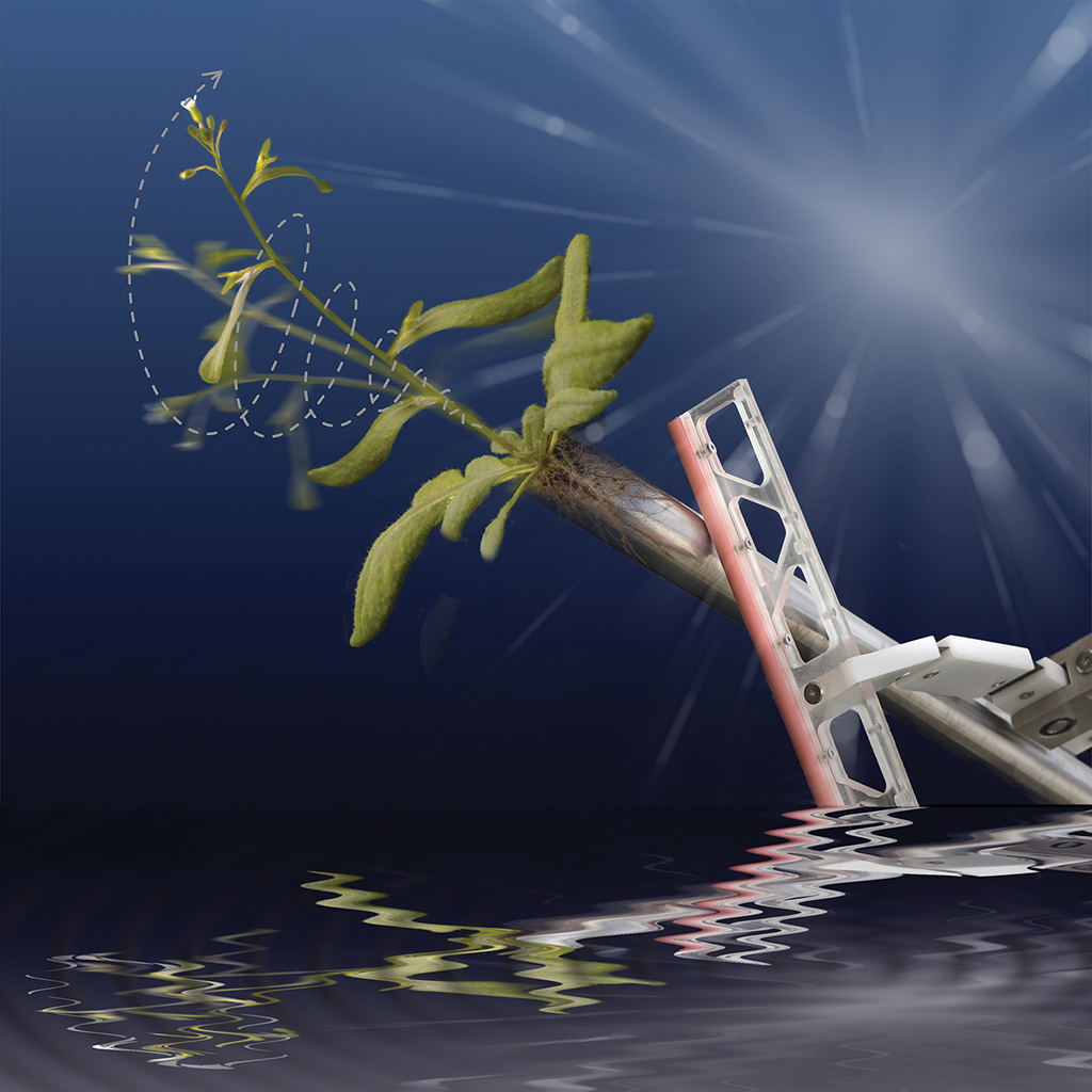 MPEE_NU's tweet image. Congratulations to Oleg N Kirillov and his collaborators on making the cover of Proceedings of the Royal Society A with their work on the 100-year old Flutter Instability. Some very cool work here linking propellers and plants via dynamics! #maths  doi.org/10.1098/rspa.2…