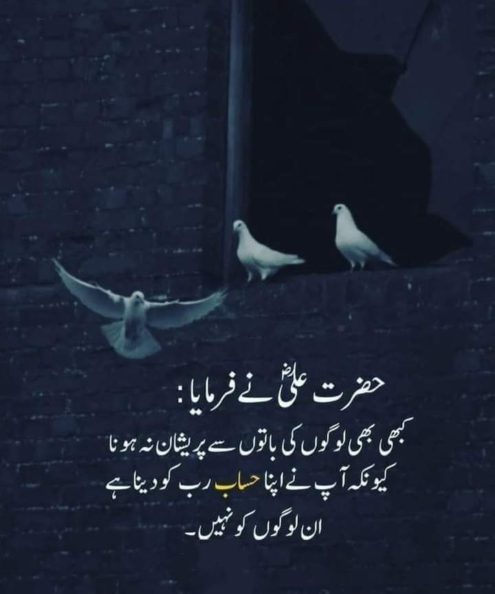Beshak ❤️❤️💯 
🥀🍃💕🤍💕🌿✨️
.. 
.. 
.. 
.. 
#writes #foryou Sayed Sajid Shah 
#islamabadbeautyofpakistan #Islamabad
#islamicrepublicofpakistan #pakistan #beautifuldestinations #jouneliapoetry
#beauty #blogger #bloggersofinstagram #margallahills #mountains #li #dawndotcom #mor