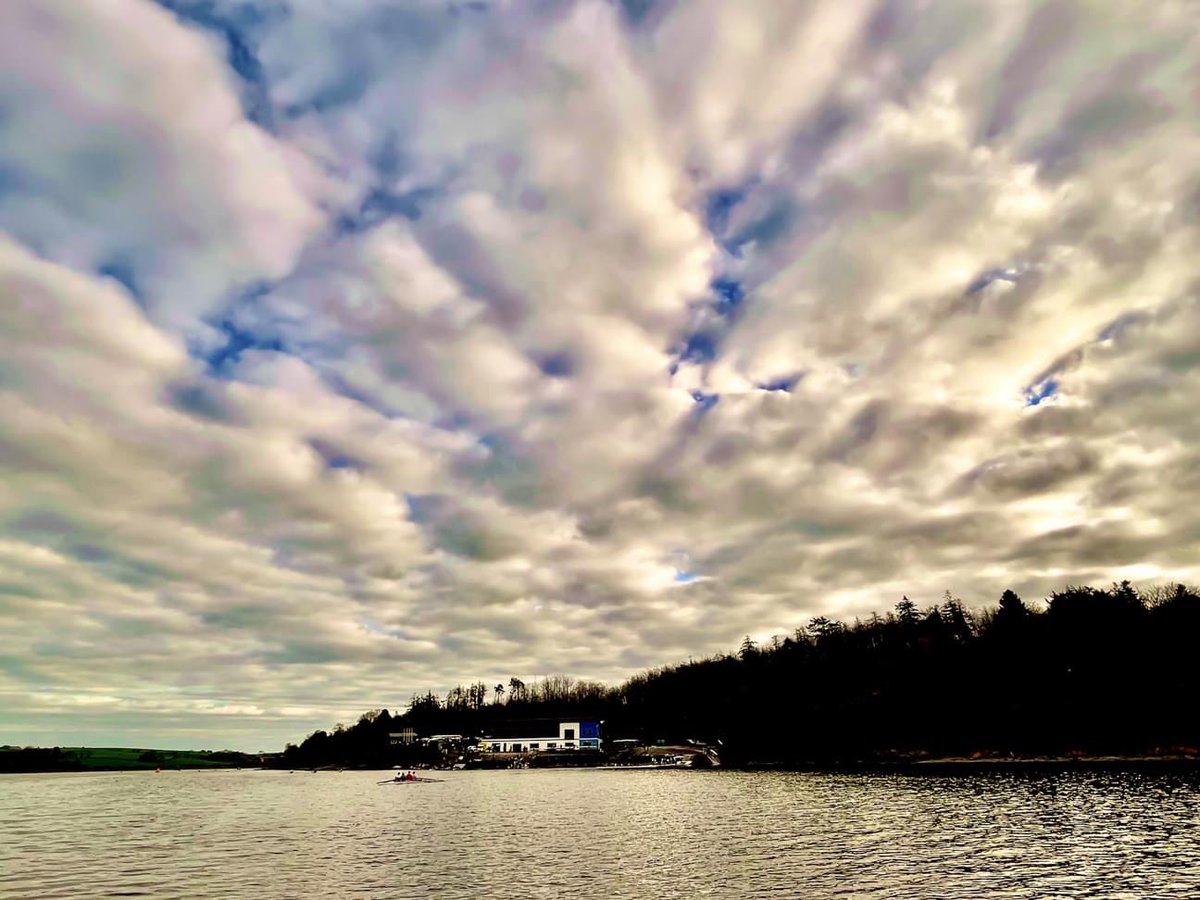 Muckross Rowing Club tweet media