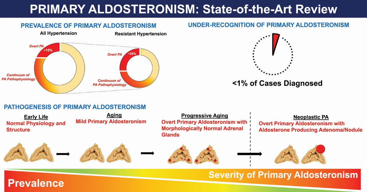 Welcome back to #AJHTweetorials Let’s talk about medical management of primary aldosteronism (PA) in this edition Check out this review from @AnandVaidya17 and colleagues for background academic.oup.com/ajh/article-ab… 1/