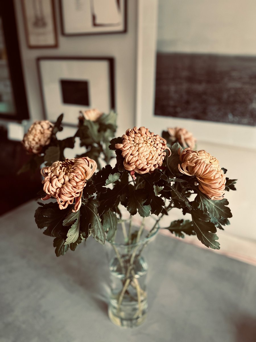 Winter light. Birthday flowers.