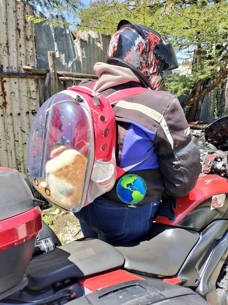 NMathwitiKe's tweet photo. Our first complete trip together πGod kept us safe through out the safariβ€οΈ I had fun tbh and I must say, I love riding with my fur babyπ #catmom #bikes #mathwiti #miyu https://t.co/EgtOEtakD8