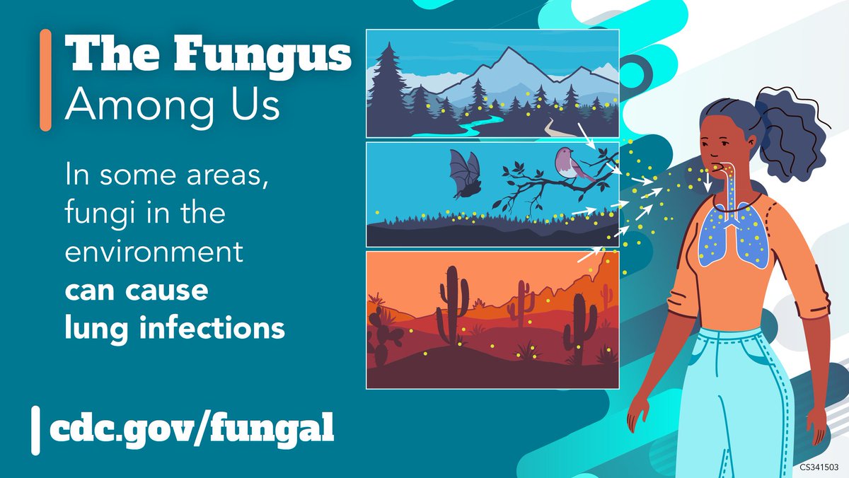 CDC_NCEZID's tweet photo. Some fungal infections—Valley fever, histoplasmosis, &amp; blastomycosis—can look like pneumonia &amp; often go undiagnosed. If you have symptoms that aren’t getting better with treatment, talk to your doctor about the possibility of a fungal infection. https://t.co/lp0oyR4zE4 https://t.co/Yb1N0pvKxQ