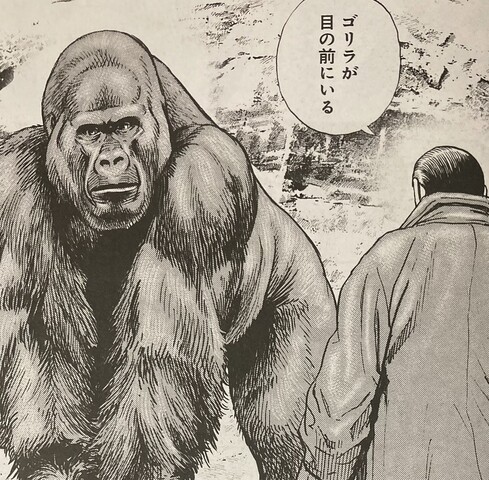ゴリラを追いかけて冒険に出たザインのその後。 #フリーレン
