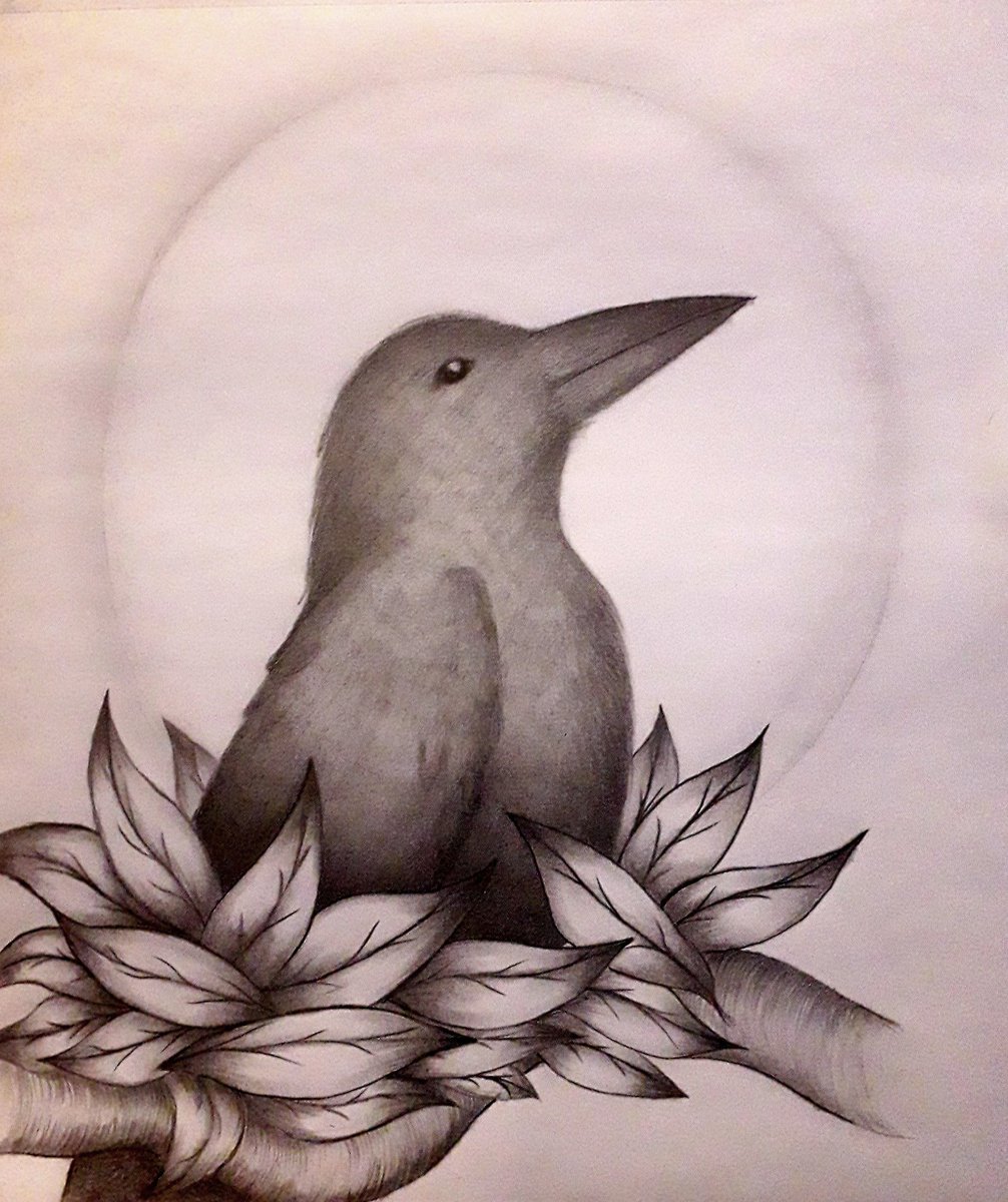Ahogur_SJF's tweet image. Vu que je me suis foirée sur les 2 hommes que j'ai tenté de #dessiner,  dessin de confort.
#CrowForevaaaa
