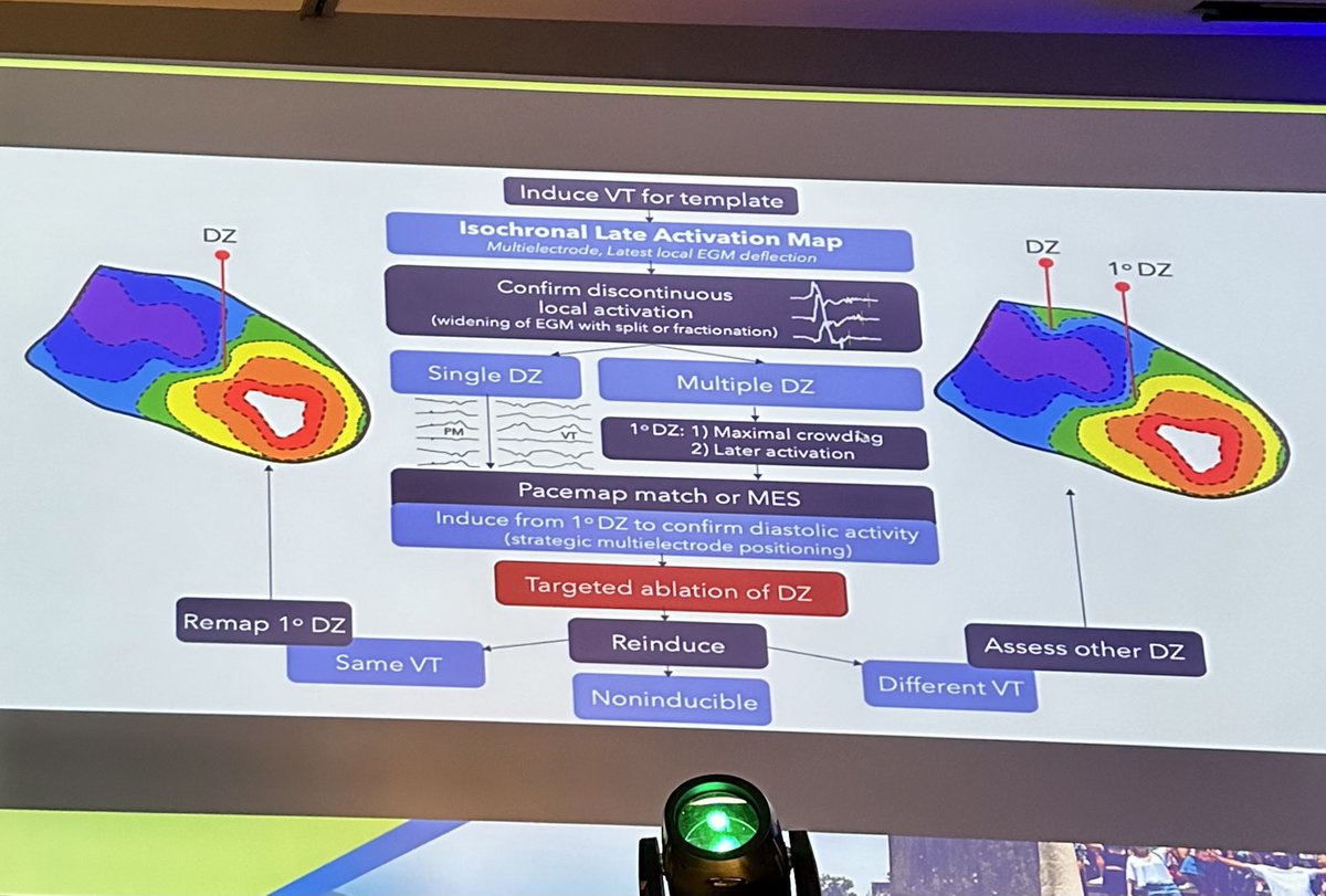 Alexandra R. D. Brigido tweet media