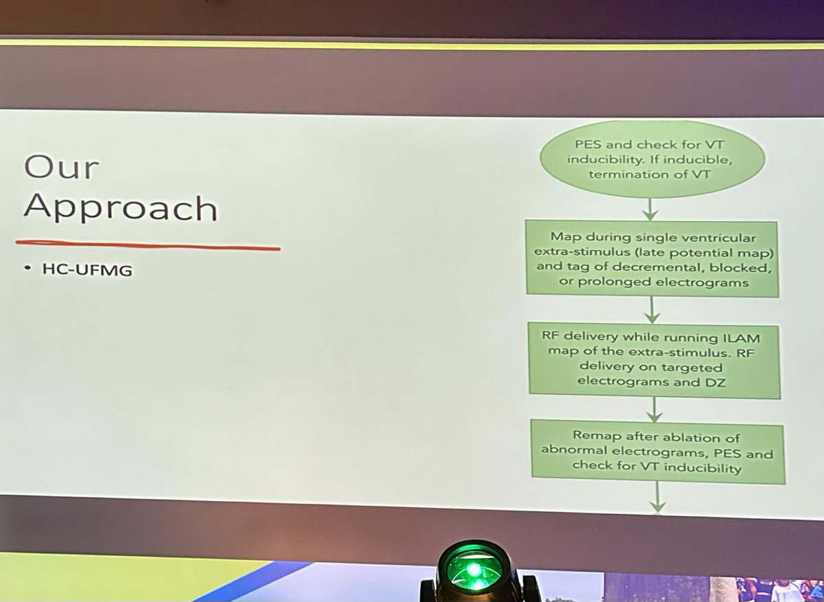 Alexandra R. D. Brigido tweet media