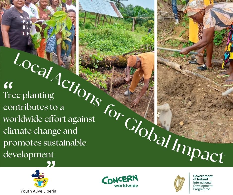 Local Action for Global Impact. Small actions lead to significant change. Plant a tree for a better tomorrow. #OneMiliionTrees project #climatechange #livelihood #ClimateAdaptation #Mitigation <a href="/Concern/">Concern Worldwide</a>  <a href="/irlembliberia/">Irish Embassy Liberia</a> @Irishaid <a href="/AALiberia/">ActionAid Liberia</a>