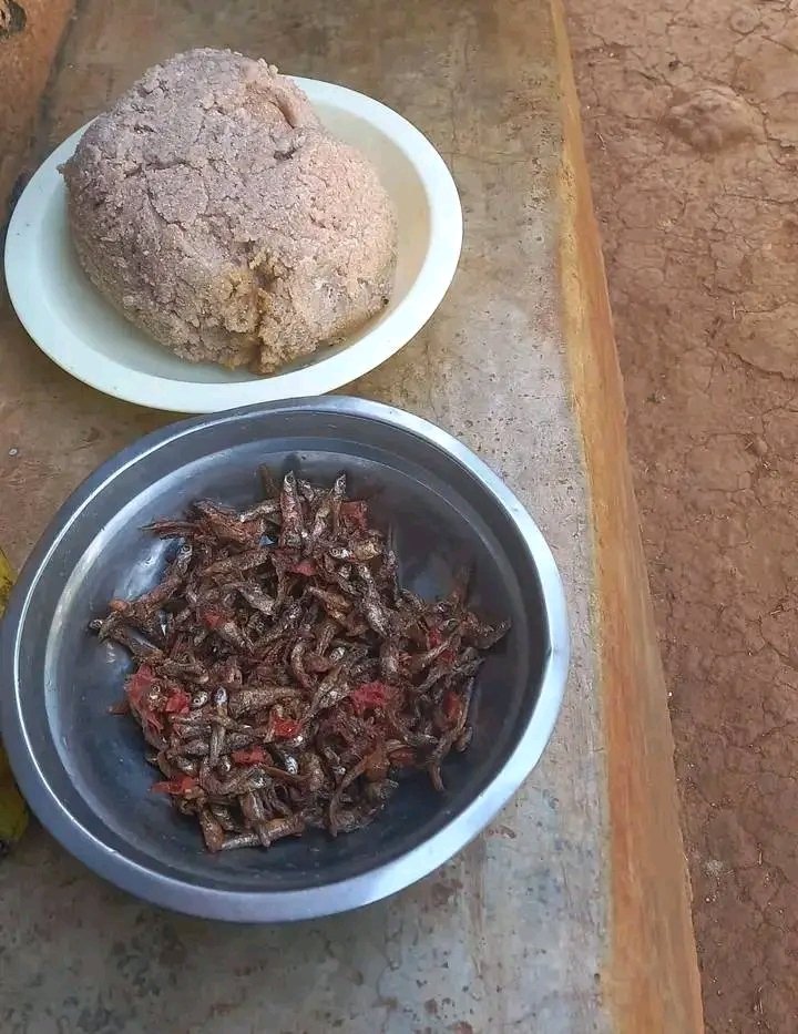 j_clienz's tweet photo. @mesocarpp Najua amekupikia lakini mbona usituonyeshe  chakula yenyewe😌😌😌😌 https://t.co/897Jrsc5mg