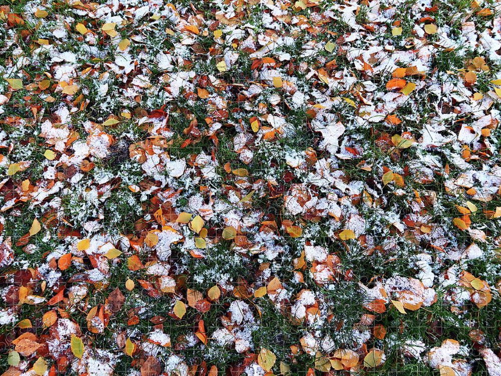 #PuzzleOfTheDay
'Autumn Leaves Covered in Snow'

Get it here:
kathrin-poersch.pixels.com/featured/autum…

#puzzlelover #giftideas #giftideas2023 #AYearForArt #BuyIntoArt #FallForArt #autumnleaves #photography #ThePhotoHour #jigsawpuzzle #forsale #onlineshopping #AutumnVibes #snow #puzzles #pattern