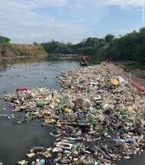 Ahora q los panameños hemos fortalecido mas nuestra conciencia social sobre el medio ambiente, seria buenísimo q por una buena vez hagamos un plan país para detener la tala indiscriminada en el Darien y la permanente contaminación de nuestros rios y playas  (entre otras cosas)