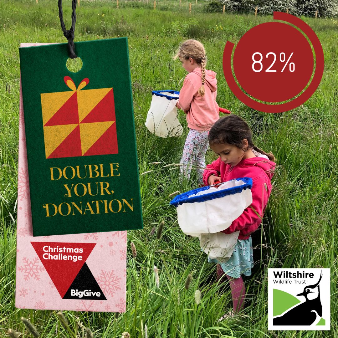 WiltsWildlife's tweet photo. We've got that #FridayFeeling because thanks to your generous donations, we've reached 82% of our #ChristmasChallenge target! 🙌

With £2,244 left to raise in just four days, please donate what you can to our @biggive appeal: https://t.co/rFELCjdJhN https://t.co/ech4Lh5i9H