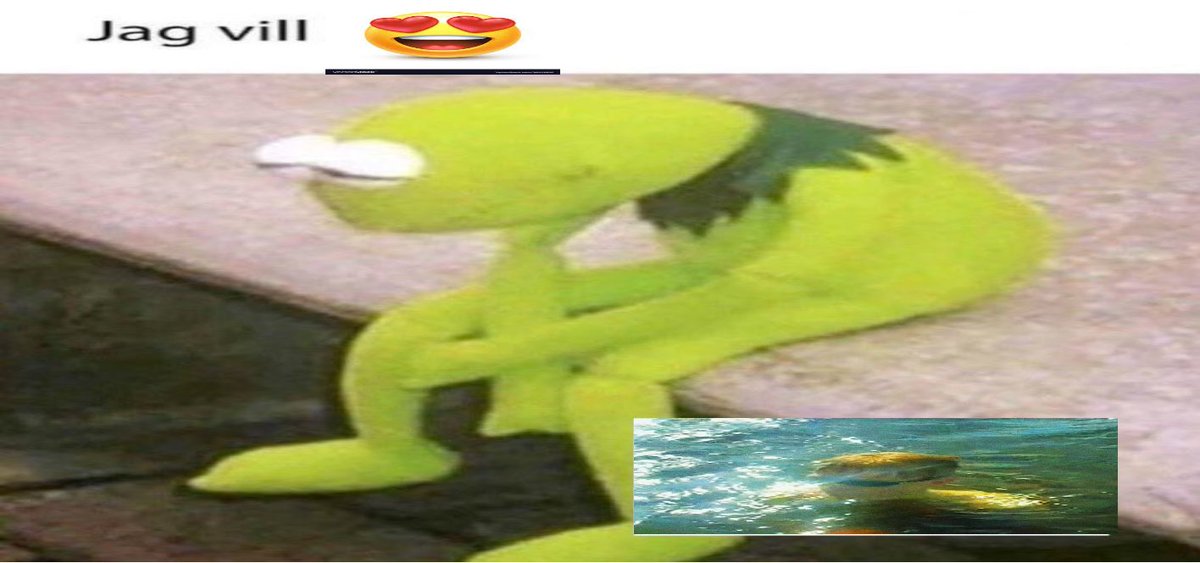 PINME (@albinolausson3) on Twitter photo 