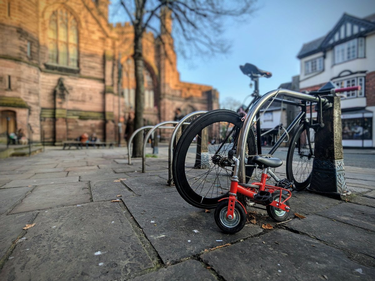 𝙼𝚊𝚛𝚔 𝙲𝚊𝚛𝚕𝚒𝚗𝚎 tweet media