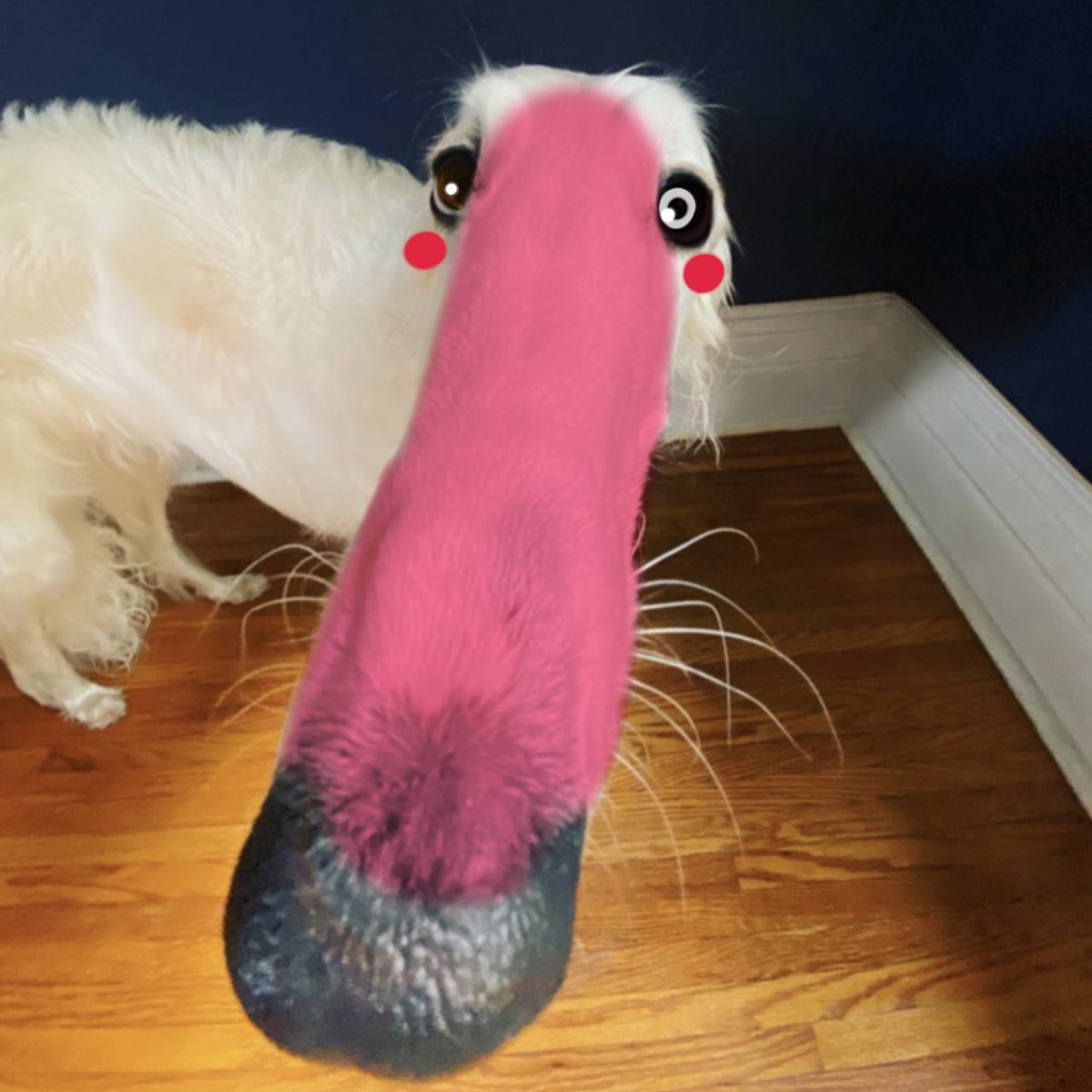 SanyDrawz's tweet photo. Mangle:- https://t.co/5xIITAl8V2