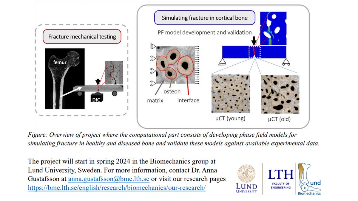 Phase field Modelling.......Fantastic job opportunities with Dr. Anna  Gustafsson anna.gustafsson@bme.lth.se in the Biomechanics group at Lund University, Sweden!!!!