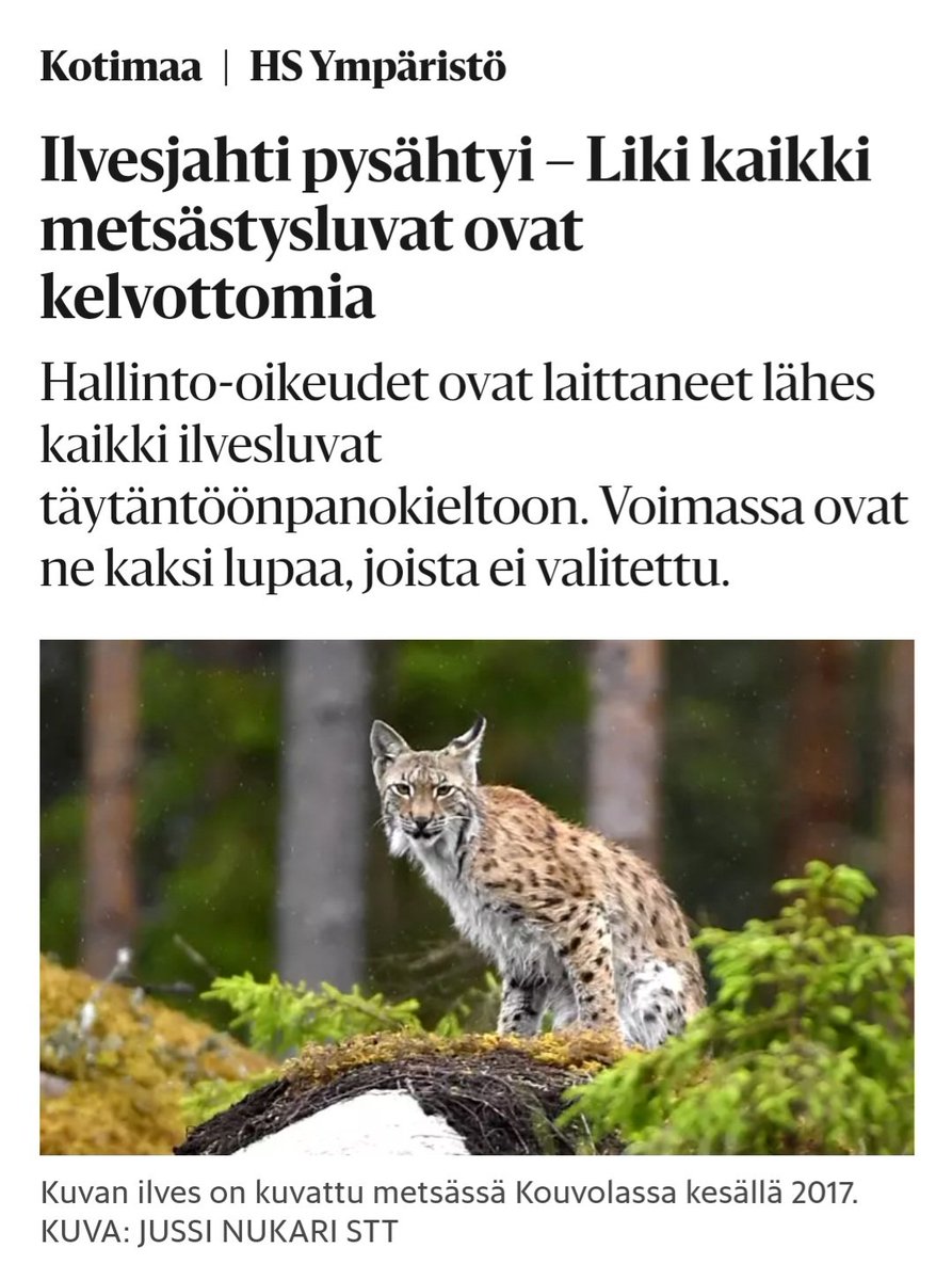 Onko kelvoton = toimeenpanokielto? Käsittääkseni hallinto-oikeudet eivät ole vielä tehneet ratkaisujaan. <a href="/piiaelonen/">Piia Elonen</a> <a href="/hsfi/">Helsingin Sanomat</a>