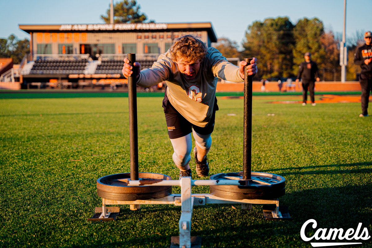 Campbell Baseball tweet media