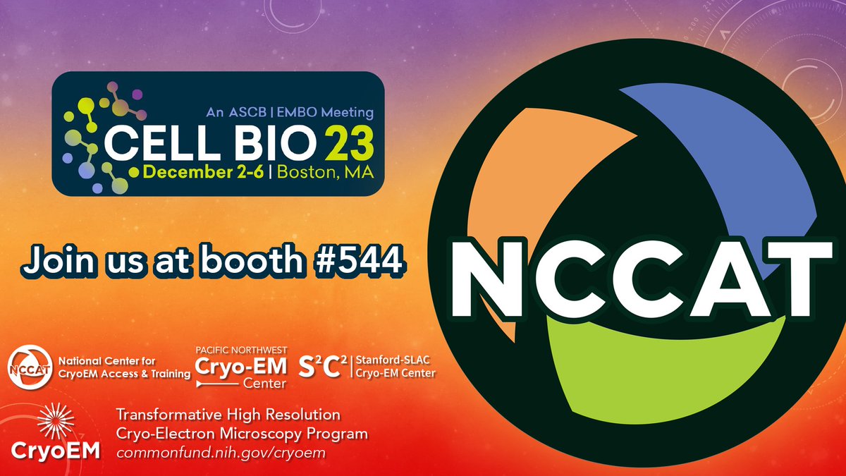 NCCAT Info (@nccatinfo) on Twitter photo Ready to use #cryoEM as part of your research program?
Learn more about the
<a href="/NIH_CommonFund/">NIH Common Fund</a> sponsored service centers at #cellbio2023 booth 544. Ready to use #cryoEM as part of your research program?
Learn more about the
<a href="/NIH_CommonFund/">NIH Common Fund</a> sponsored service centers at #cellbio2023 booth 544.
