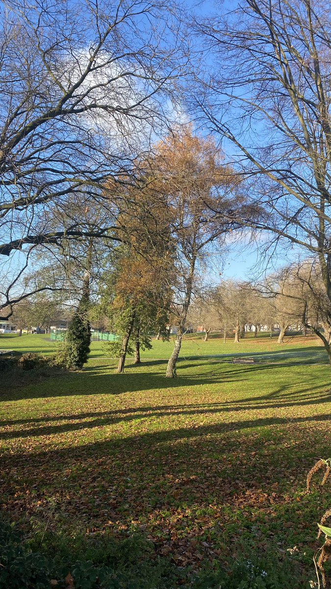 ASFAP5's tweet photo. Celebrating #NationalTreeWeek by honouring the majestic trees in Adderley Park! Let's cherish these green guardians that bring beauty, shade, and life to our community. #NationalTreeWeek https://t.co/KPIbRrTPJ3