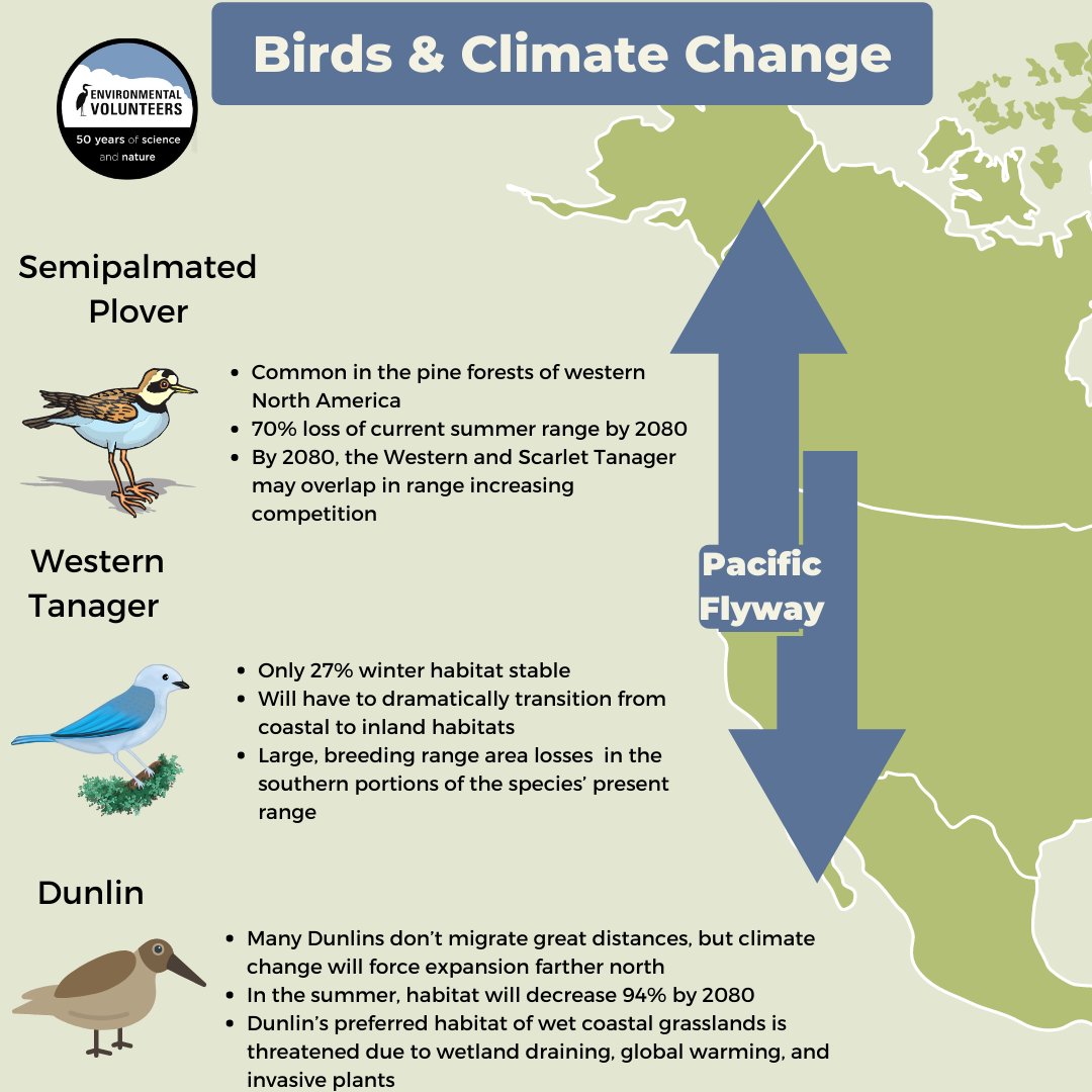 #December is migration month at the #EcoCenter. Visit us Fridays and Saturdays 10 am-1 pm to learn about #AnimalMigrations and #ClimateChange 

#PaloAlto #EastPaloAlto #FreeFamilyFun