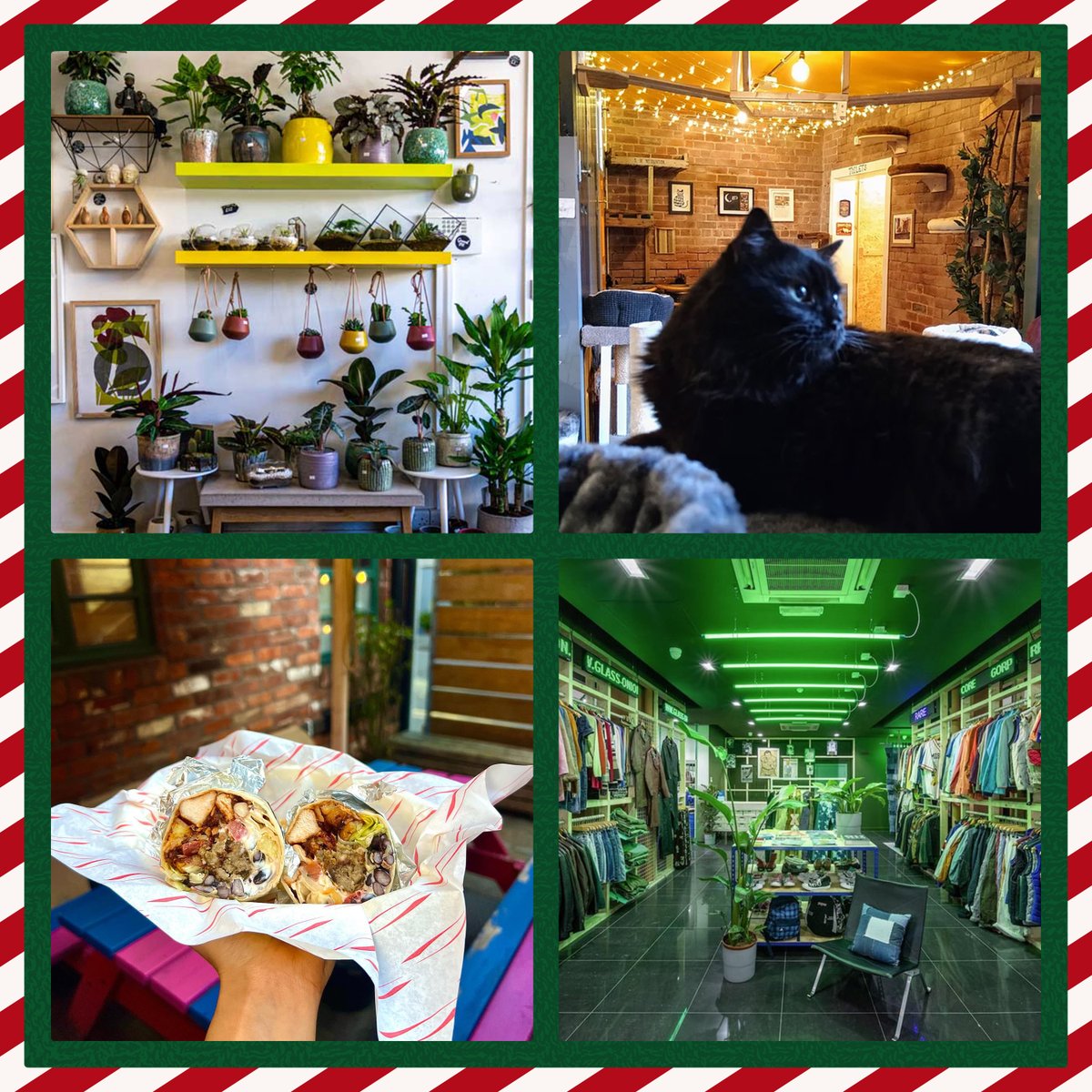 For Day 2 of The Leadmill Advent calendar, we're giving away prizes from Tabby Teas, Gravel Pit, Glass Onion and Street Food Chef 🐱🌯🪴

To enter drop us a follow and retweet this post.

Good luck! ❤️