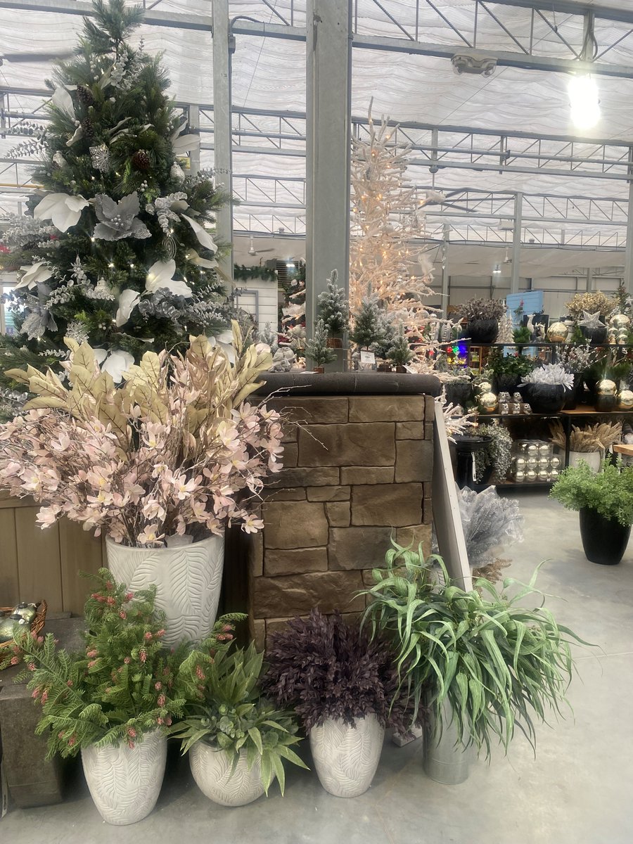 🎵It's beginning to look a lot like Christmas 🎵

Make sure to stop by <a href="/classiclandscp/">Classic Landscapes</a> to see their #BelgardCanada Christmas display 🎄🎅

#ClassicLandscapeLimited #BelgardOutdoorliving #December1 #AlmostChristmas #SANTA