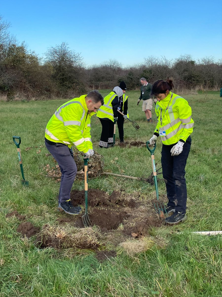 Heathrow Biodiversity tweet media