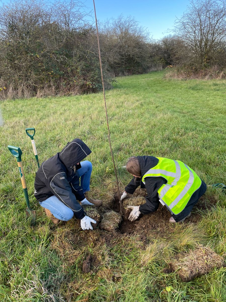 Heathrow Biodiversity tweet media
