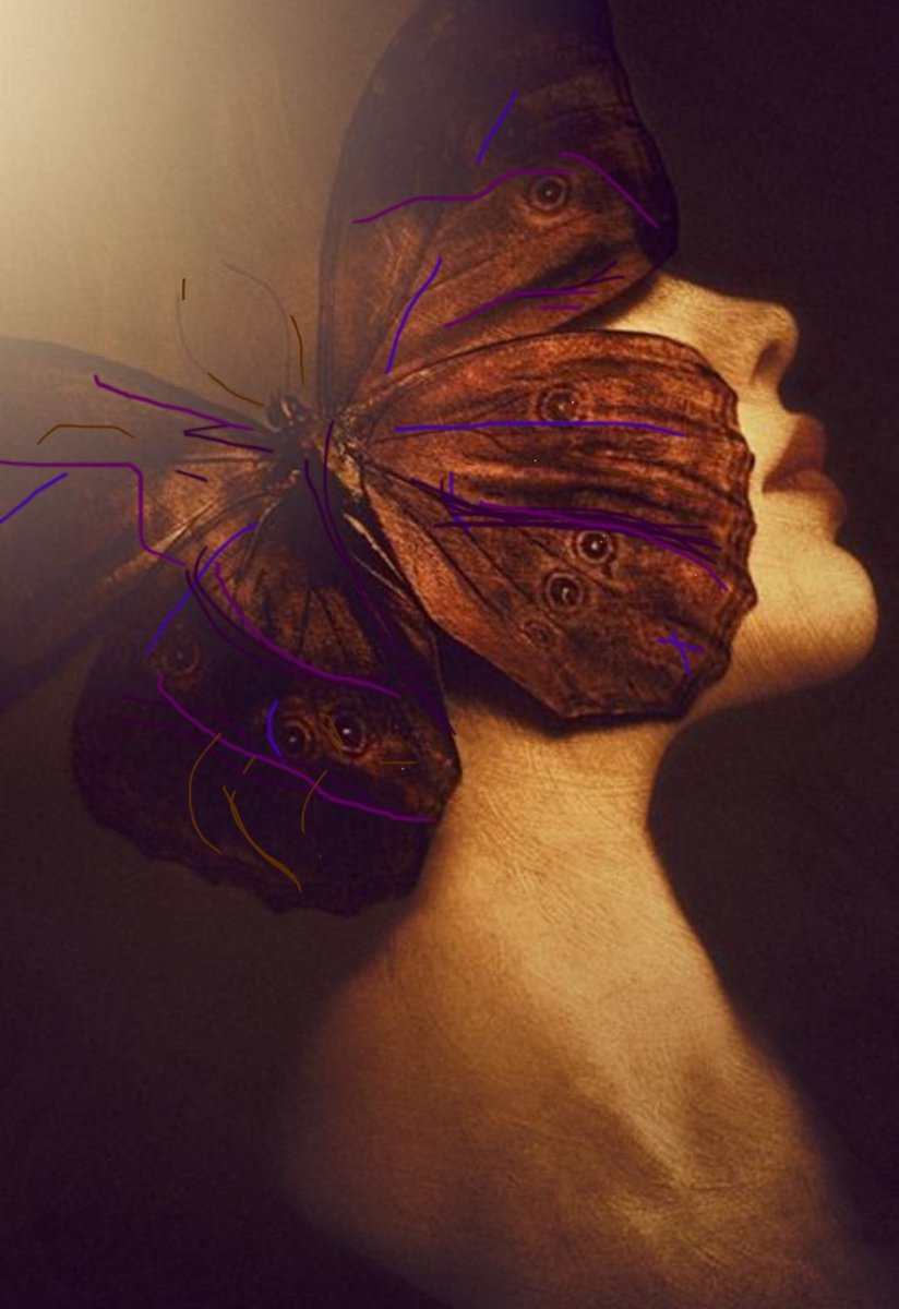 MarcelaOla's tweet photo. "Transformando la mente"...
#motivacion
#tranquilidad
#enfocarse https://t.co/LGmGVILz0s